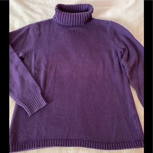 LL Bean turtle 🐢 neck sweater